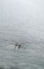 bathers 06